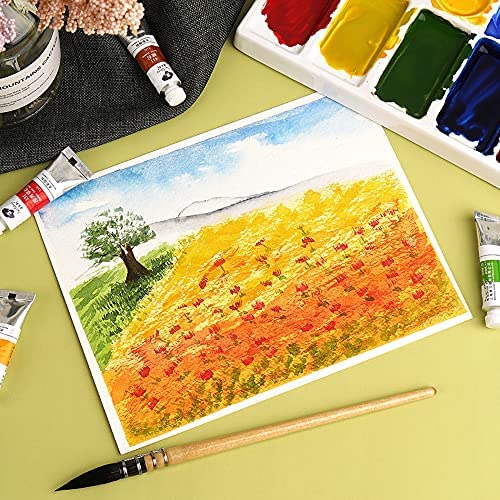 Paul Rubens 36 Vibrant Colors Watercolor Paint, Rich Pigments