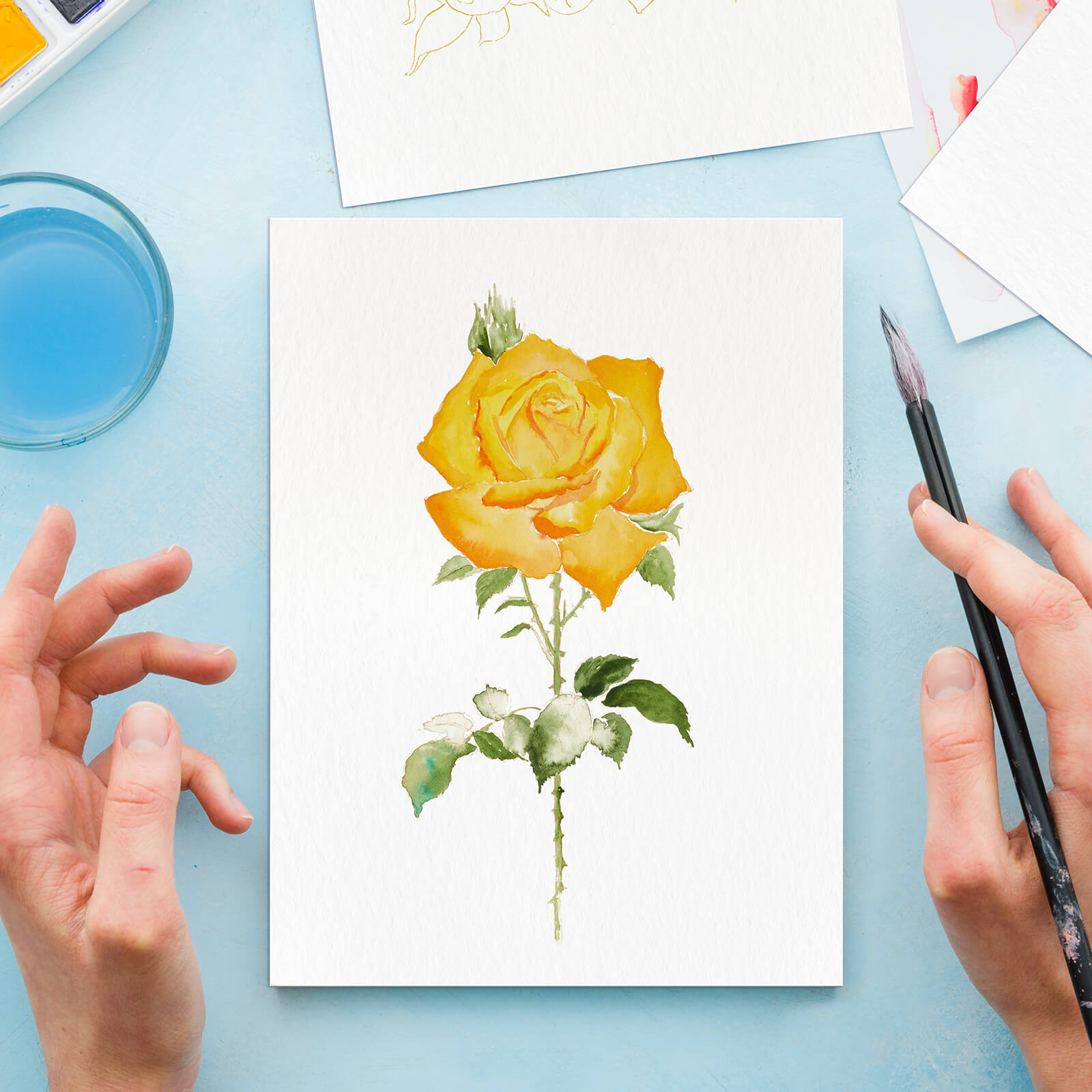 Aquarell-Malpapier von Paul Rubens, 12 einzigartige Rosen-Strichzeichnungen
